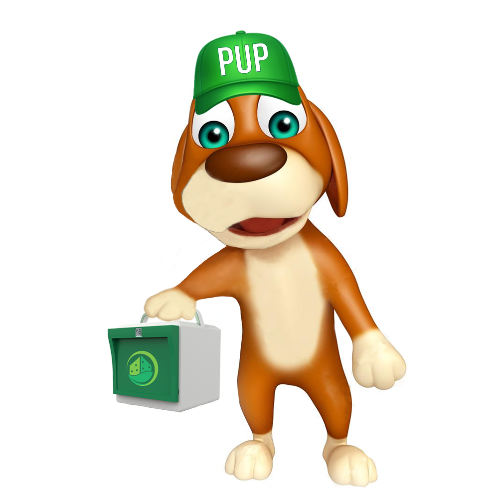 PUP (Pick Up Point) Stores